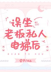 误坐老板私人电梯后 封面