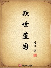 欺世盗国 封面
