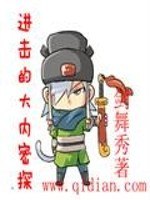 进击的大内密探 封面