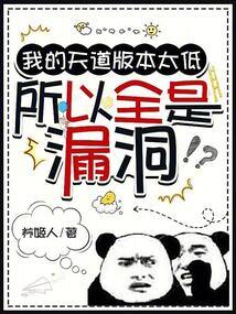 我的天道版本太低，所以全是漏洞 封面