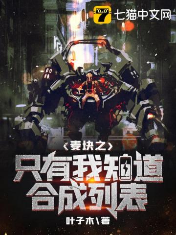 麦块之只有我知道怎么合成 封面