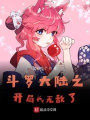 斗罗大陆之开局我无敌了 封面