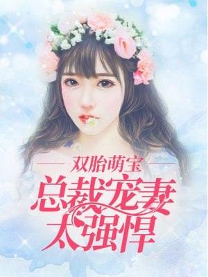 顾好风熠宸 封面