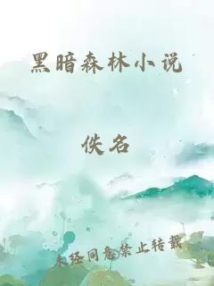黑暗森林 封面
