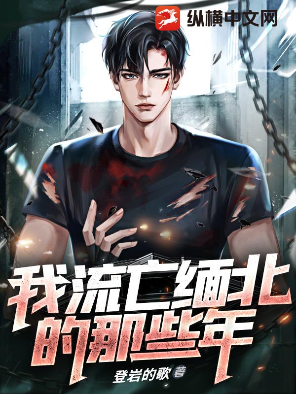 我流亡缅北的那些年 封面