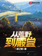 从荒野到殿堂 封面