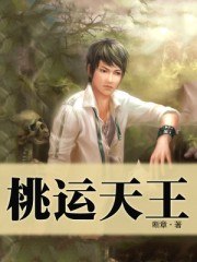 孤寂之狼 封面