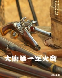 大唐第一军火商 封面