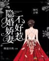 隐婚娇妻不好惹 封面