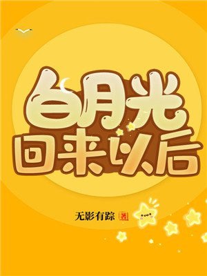 白月光回来以后 封面