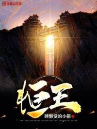 恒王 封面