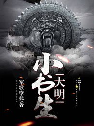 大明小书生 封面