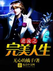 逆流之完美人生 封面