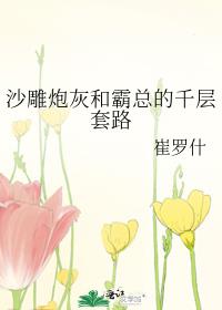 沙雕炮灰和霸总的千层套路 封面