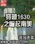 穿越1630之崛起南美 封面