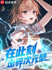 在此刻,击碎次元壁 封面