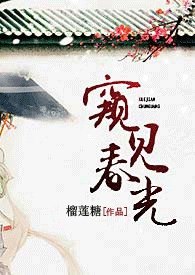 窥见春光【古言，NP】 封面
