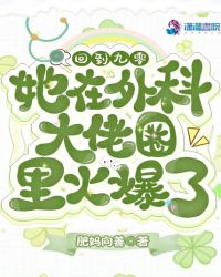 谢婉莹曹勇 封面