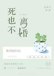 死也不离婚 封面