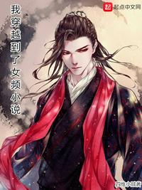 我穿越到了女频小说四维小贼 封面