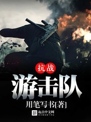 抗战游击队 封面