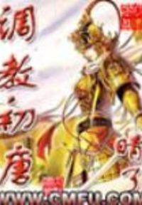 初唐房二传 封面