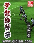 梦想绿茵场 封面