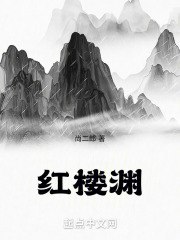 红楼渊 封面
