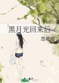 黑月光回来后 封面