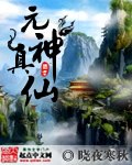 元神真仙 封面