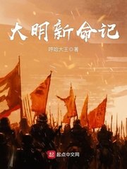 大明新命记 封面