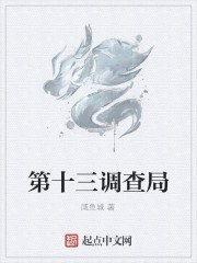 第十三调查局 封面