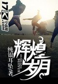 辉煌岁月 封面
