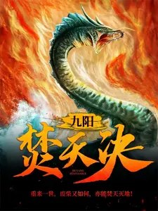 九阳焚天决 封面