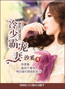 冷少霸宠妻 封面