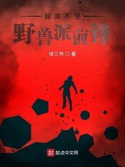 我真不是野兽派前锋 封面