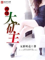 神级大矿主 封面