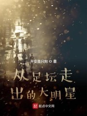 从足坛走出的大明星 封面