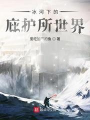 冰河下的庇护所世界 封面