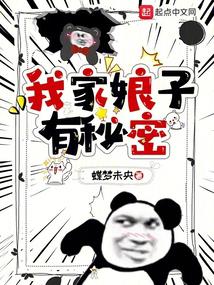 我家娘子有秘密 封面