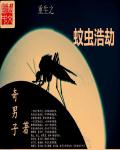 妙医鸿途 封面