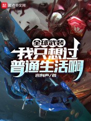 全球武装，我只想过普通生活啊 封面