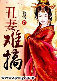 丑妻难搞 封面