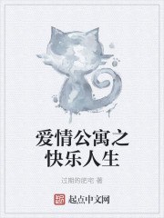 爱情公寓之快乐人生 封面
