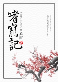 嗜宠记 封面