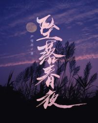 坠落春夜 封面