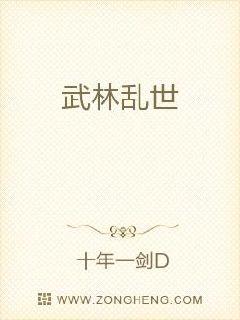武林乱世 封面