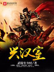 兴汉室 封面