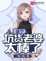 这个坑货老婆太棒了 封面