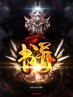 异书 封面